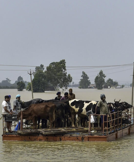 Untitled design (46)