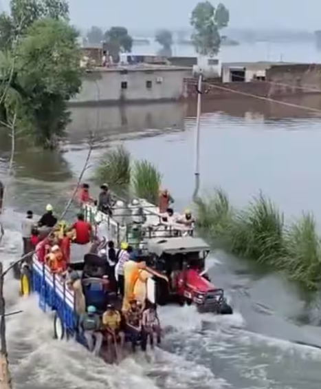 Untitled design (48)